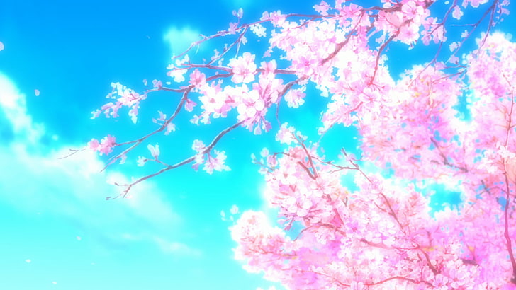 Cherry Blossoms illustration, sky, low angle view, plant, pink color