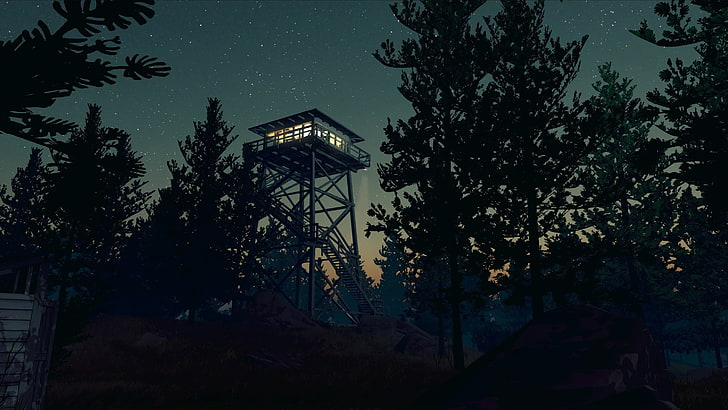 Firewatch, forest, night, stars, Trees, video games, plant, HD wallpaper