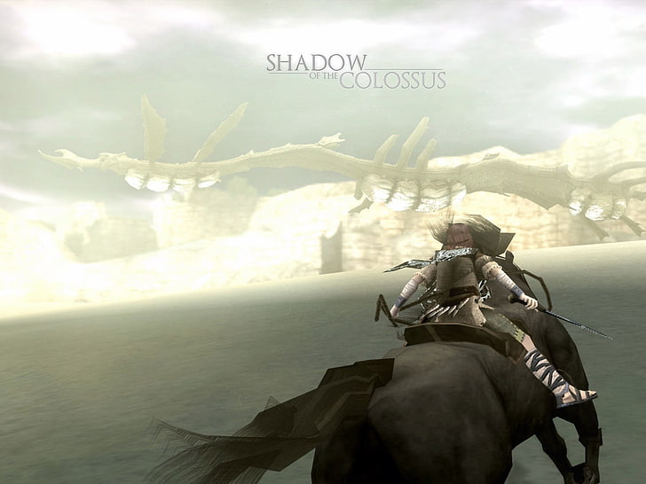 black and gray RC helicopter, Shadow of the Colossus, video games, HD wallpaper