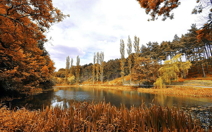*** Dublin - Phoenix Park ***, nature, autumn, nature and landscapes, HD wallpaper