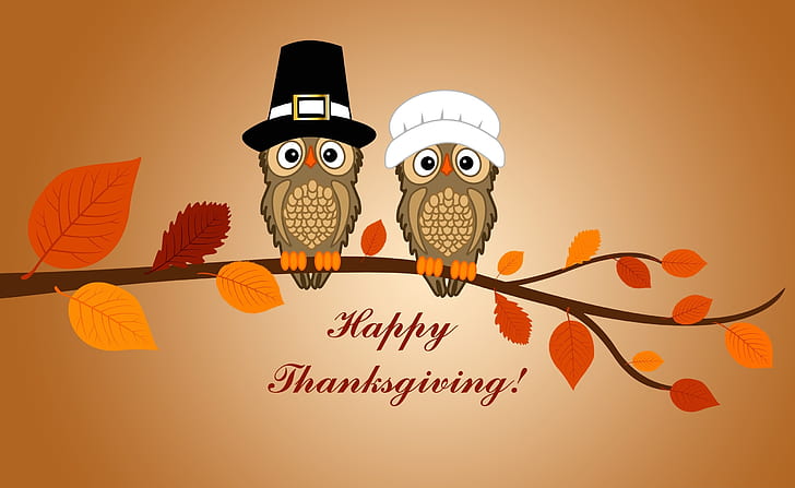 Happy Thanksgiving Day, Holidays, Halloween, Autumn, Background, HD wallpaper