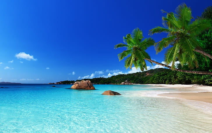Tropical Island Landscape, sea, palms, beach, ocean, HD wallpaper