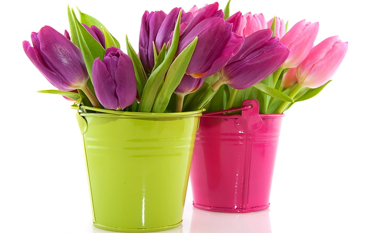 two purple and pink tulip flower centerpieces, flowers, tulips