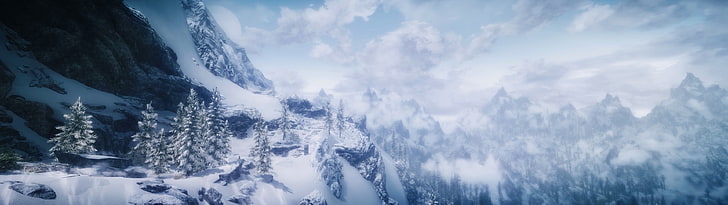 pine trees cover with snow wallpaper, The Elder Scrolls V: Skyrim