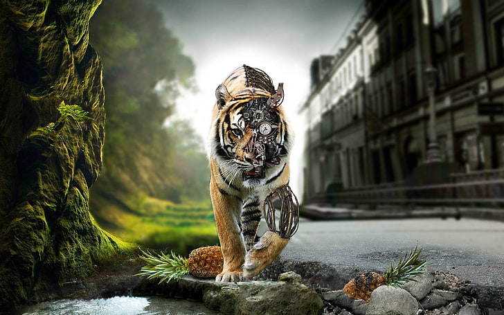 brown and black tiger, animals, steampunk, photo manipulation