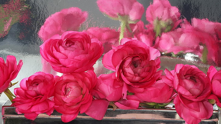 rose, bouquet, pink, flower, blossom, petal, flower arrangement, HD wallpaper