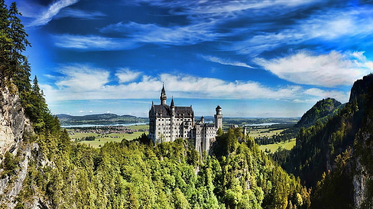 gray concrete castle surrounded by forest, neuschwanstein castle