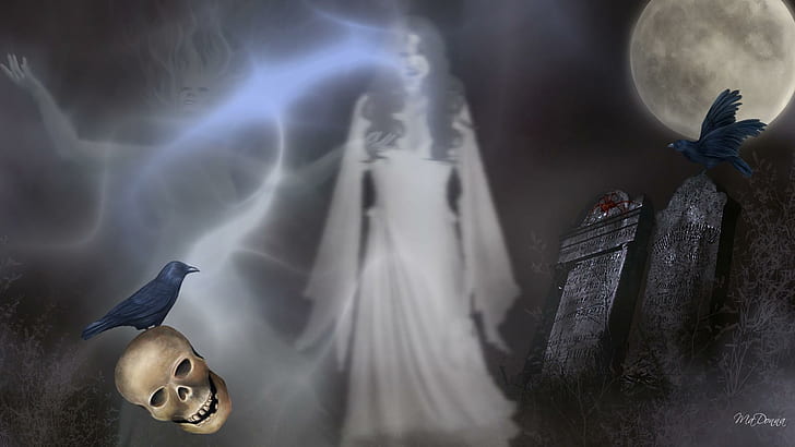 Spirits Abound, skull, full moon, mist, halloween, ravens, scary, HD wallpaper