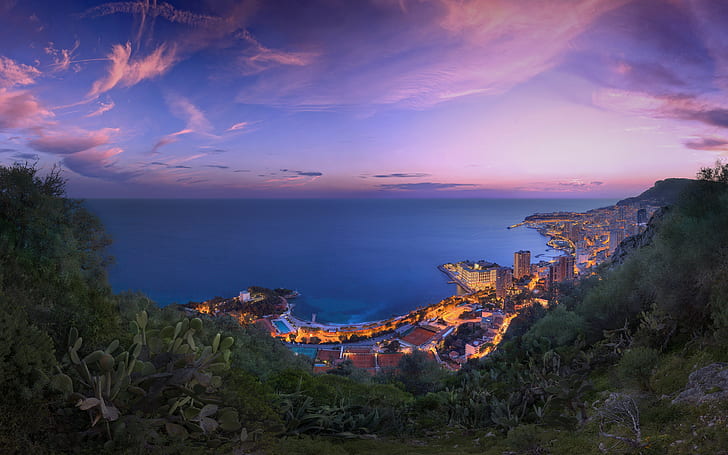 coast, city, city lights, Monaco, sea, cityscape, HD wallpaper