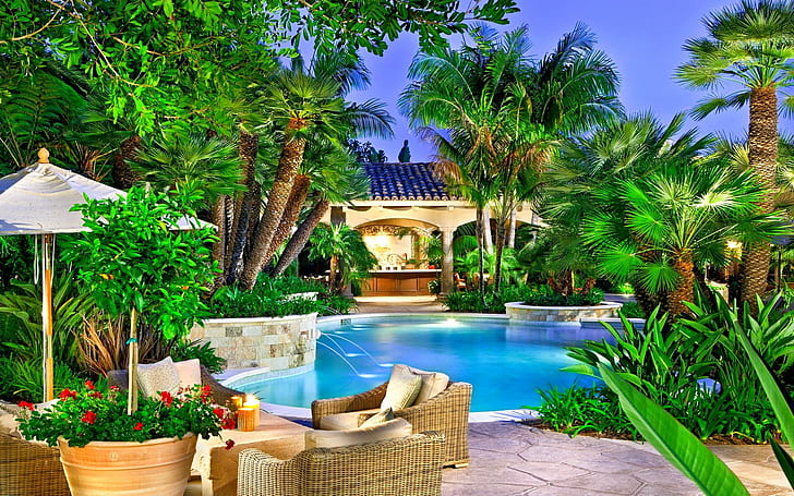 Luxury Summer Resort, palm trees, nature, interiors, flowers, HD wallpaper
