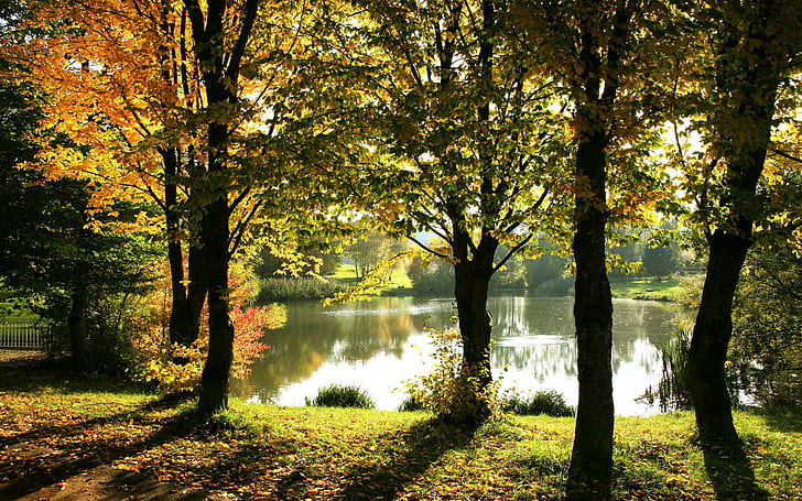nature, lake, trees, water, fall, HD wallpaper