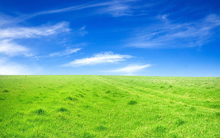 blue and green abstract painting, landscape, grass, field, green color, HD wallpaper