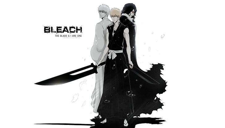 Bleach, Hollow Ichigo, Ichigo Kurosaki, Zangetsu (Bleach), HD wallpaper