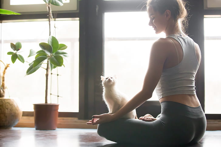 Women, Yoga, Cat, Girl, Woman, Zen, HD wallpaper