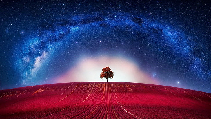 milky way, lone tree, lonely tree, field, photoshop, starry night, HD wallpaper