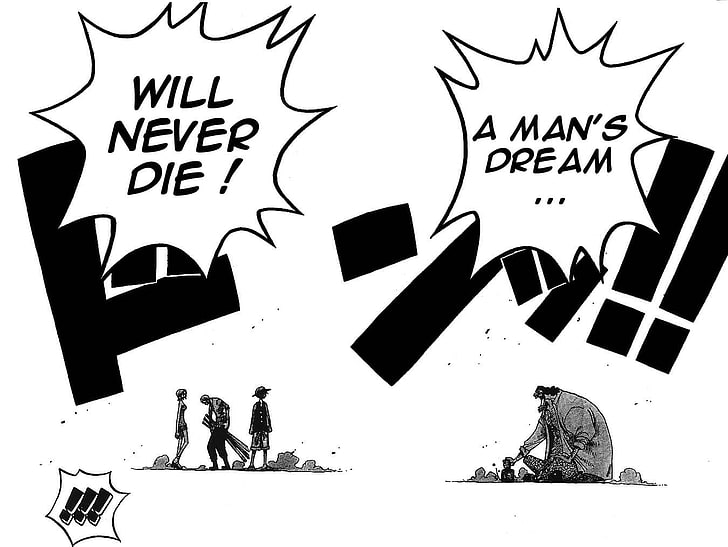 comic strip, One Piece, Monkey D. Luffy, Roronoa Zoro, Nami, text