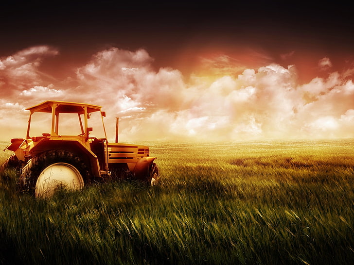 orange tractor, tractors, digital art, field, sky, clouds, vehicle