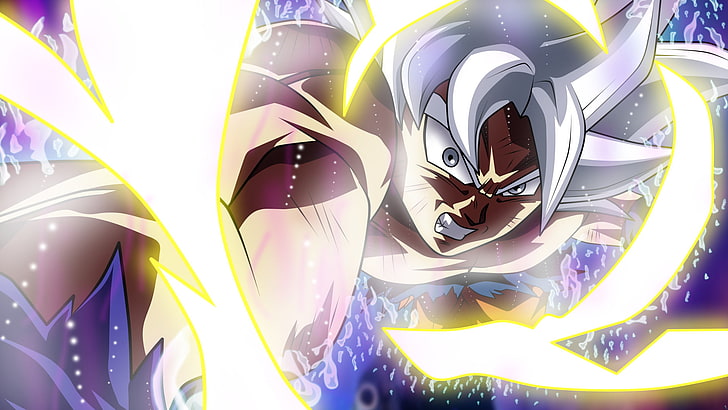 Dragon Ball Super Son Goku mastered ultra instinct form illustration, HD wallpaper