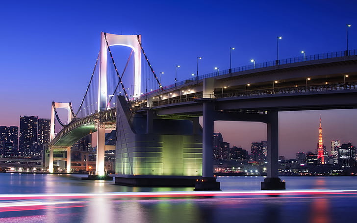 City night of Tokyo in Japan, bridge, buildings, lights, white concrete bridge
