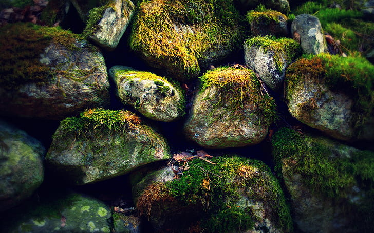 Rocks Stones Moss HD, grey and green stones, nature, HD wallpaper