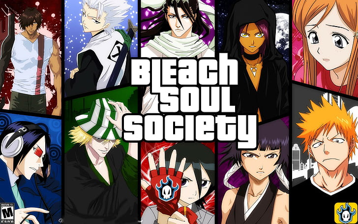 Bleach - Soul Society, bleach soul society, anime, 1920x1200