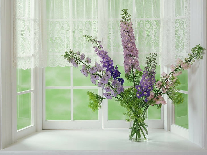 Gladioli, Flowers, Window, Vase, plant, flowering plant, nature, HD wallpaper