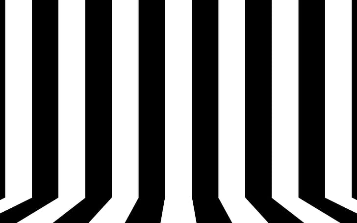 HD wallpaper: Black and white lines, black and white stripe illustration,  vector | Wallpaper Flare