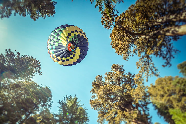 California, Hot air balloon, Blue sky, Sequoia National Park