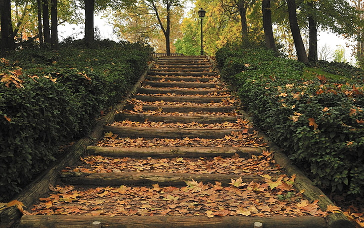 brown concrete stair, park, stairs, lantern, fall, trees, leaves, HD wallpaper