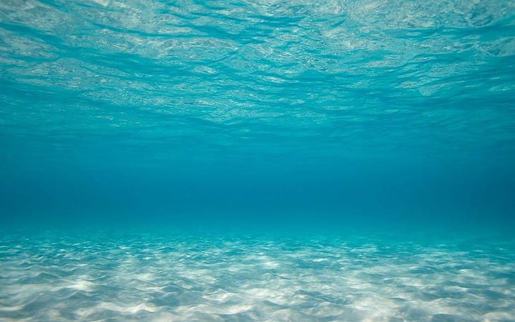 underwater, sea, turquise, nature, blue, turquoise