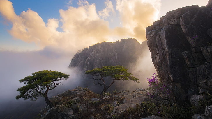 fog, sky, mountain, rock, mount scenery, tree, cliff, terrain, HD wallpaper
