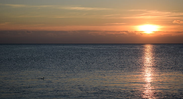 Sun, water, sea, sunset, reflection
