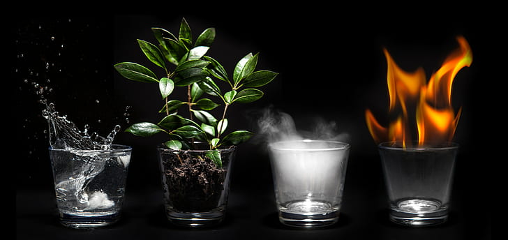 artwork, four elements, plants, water, air, Earth, fire
