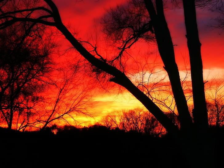 fire, orange sky, silhouette, sunset, landscape, HD wallpaper
