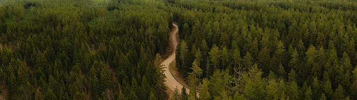 path, road, trees, forest, Latvia, ultrawide