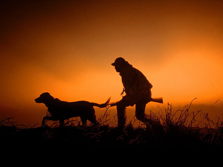 man and dog silhouette, hunting, sunset, mammal, animal wildlife