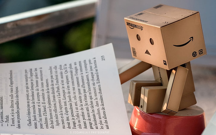 HD wallpaper: Amazon Danbo, danboard, book, read, cardboard robot, box -  Container | Wallpaper Flare