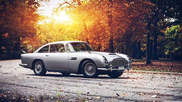 silver coupe, car, vintage, Aston Martin, Aston Martin DB5, tree