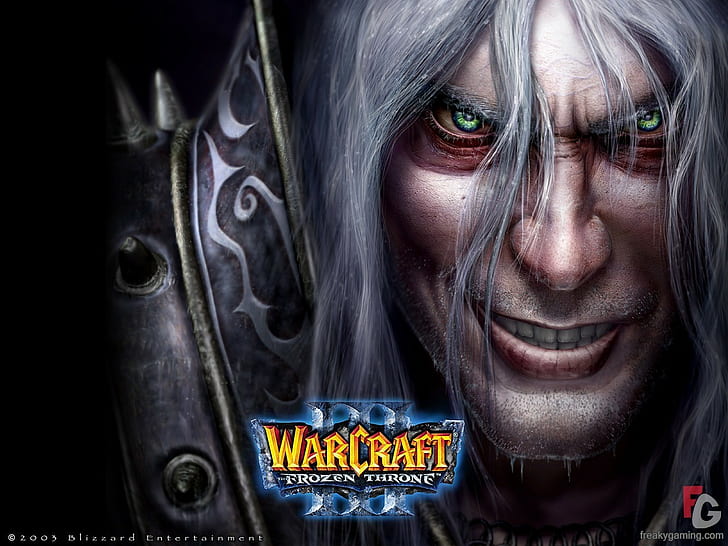 Warcraft, Arthas Menethil, Lich King, HD wallpaper