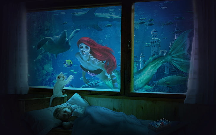 Disney Little Mermaid Ariel wallpaper, cat, fish, sleep, turtle