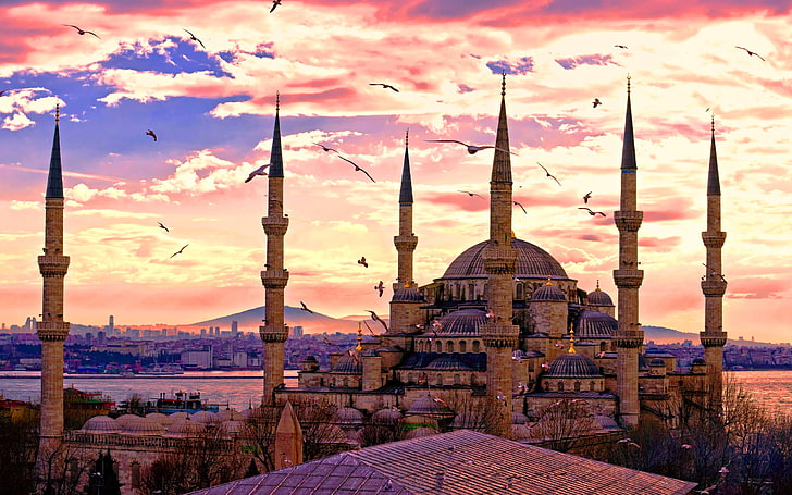 Sultan Ahmed Mosque Istanbul, brown concrete dome building, Cityscapes, HD wallpaper
