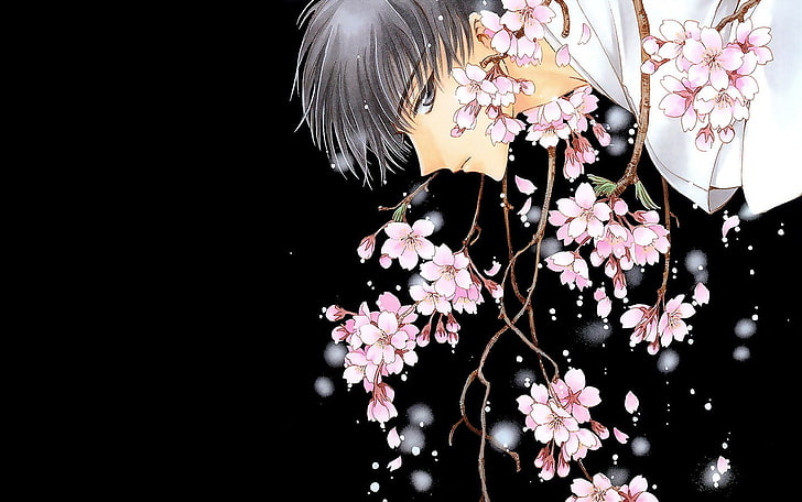 CLAMP, X/1999, flowering plant, beauty in nature, fragility, HD wallpaper