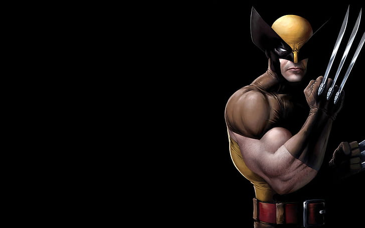 HD wallpaper: Wolverine X-Men Black HD, xmen wolverine, cartoon/comic |  Wallpaper Flare