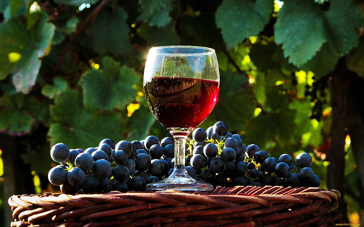 clear long-stem wine glass, drink, fruit, grapes, alcohol, food and drink, HD wallpaper