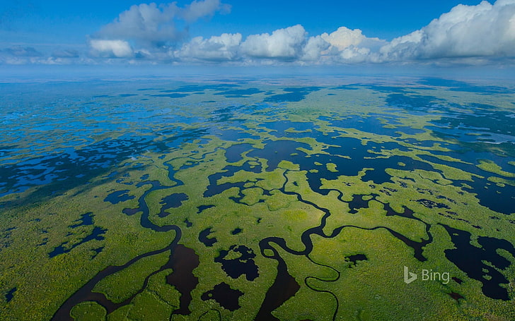 Aerial view of Everglades National Park in Florida.., blue and green body of water