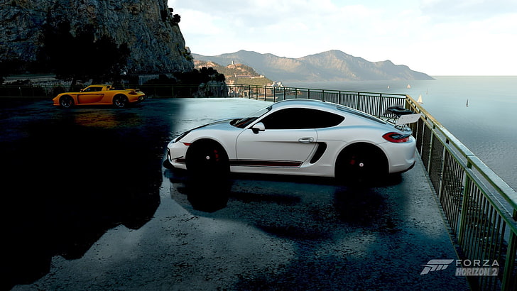 white 5-door hatchback, car, Forza Horizon 2, Porsche, mode of transportation, HD wallpaper