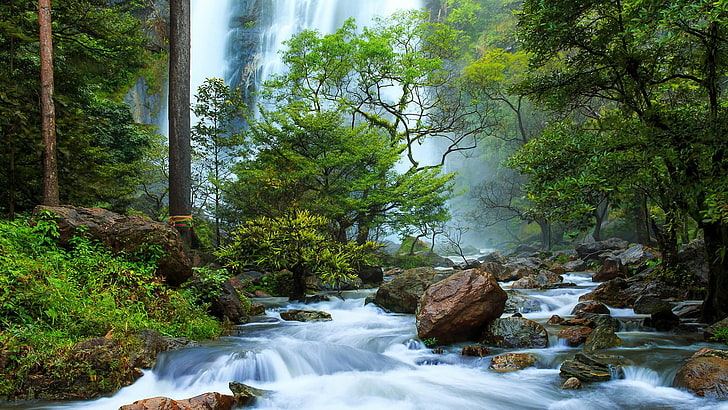 river, landscape, nature, trees, water, plant, forest, beauty in nature