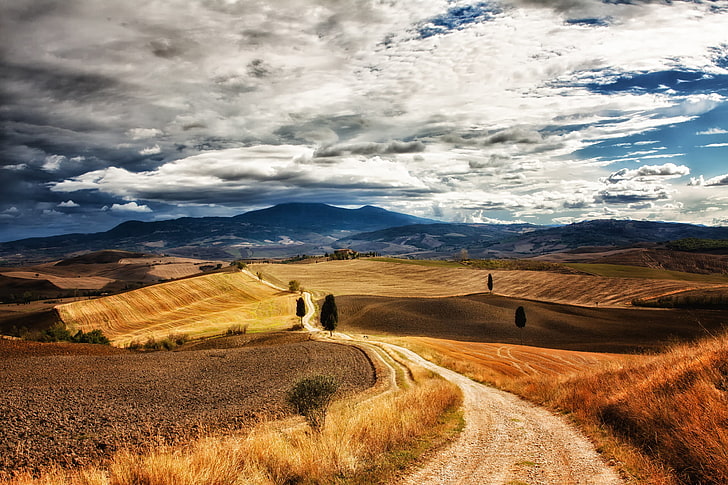 brown field, the sky, clouds, trees, hills, Italy, blue, path