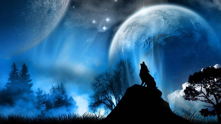 wolf, fantasy art, animals, planet, space art, sky, night, silhouette