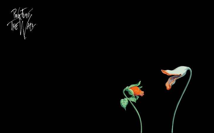 two orange flowers with text overlay, music, minimalism, Pink Floyd